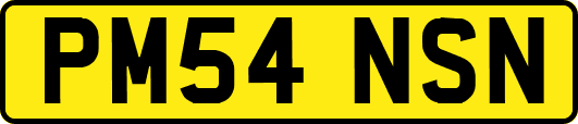 PM54NSN