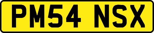 PM54NSX