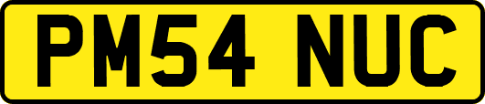 PM54NUC