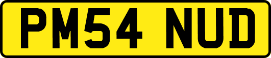 PM54NUD