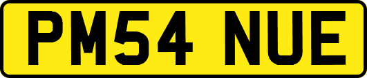 PM54NUE