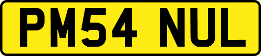 PM54NUL