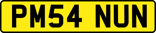 PM54NUN
