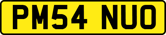 PM54NUO