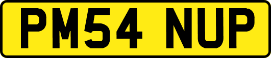 PM54NUP