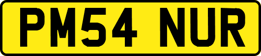 PM54NUR