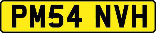PM54NVH