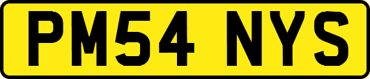 PM54NYS