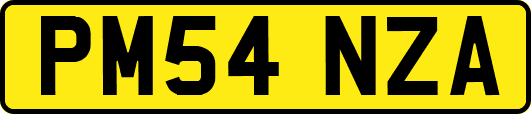 PM54NZA