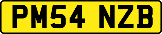 PM54NZB