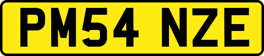 PM54NZE