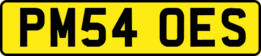 PM54OES