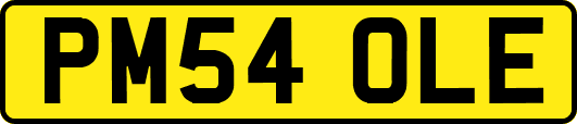 PM54OLE
