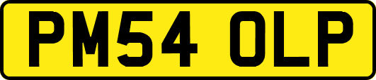 PM54OLP