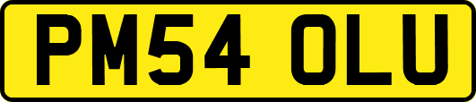 PM54OLU