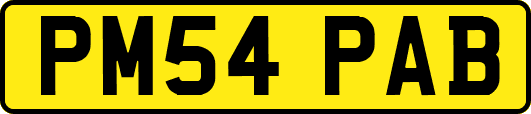 PM54PAB