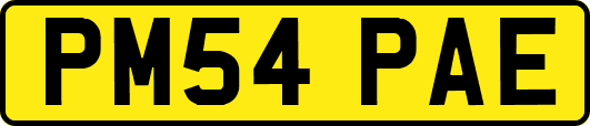 PM54PAE