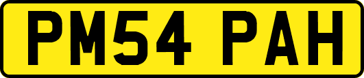 PM54PAH