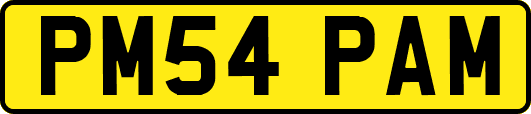 PM54PAM