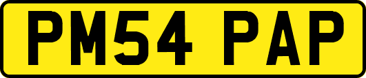 PM54PAP