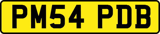 PM54PDB