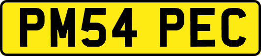 PM54PEC
