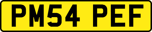 PM54PEF