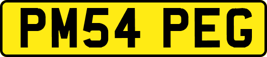PM54PEG