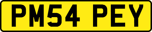 PM54PEY