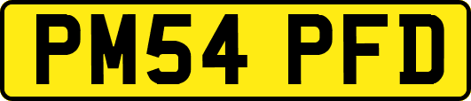 PM54PFD