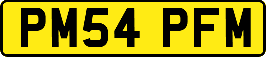 PM54PFM