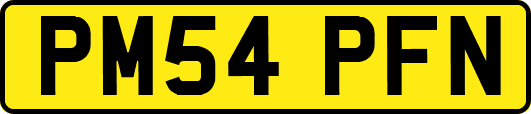 PM54PFN