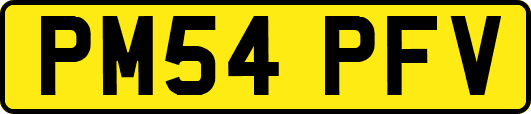 PM54PFV