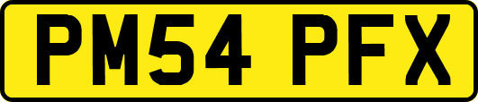 PM54PFX