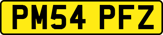 PM54PFZ