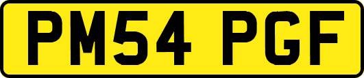 PM54PGF