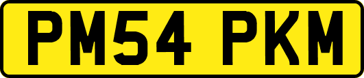 PM54PKM