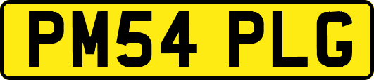 PM54PLG