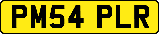 PM54PLR