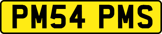 PM54PMS