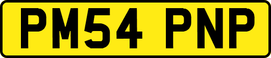 PM54PNP