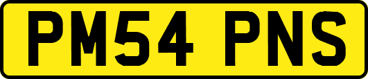 PM54PNS