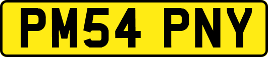 PM54PNY