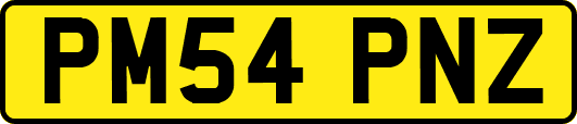 PM54PNZ