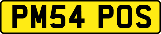 PM54POS