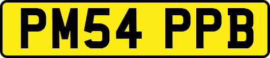 PM54PPB