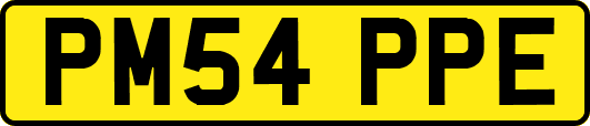 PM54PPE