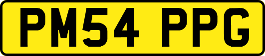 PM54PPG