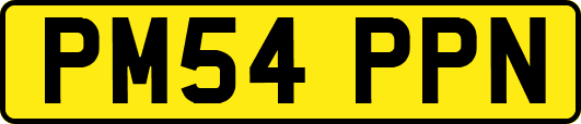 PM54PPN