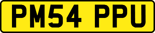 PM54PPU